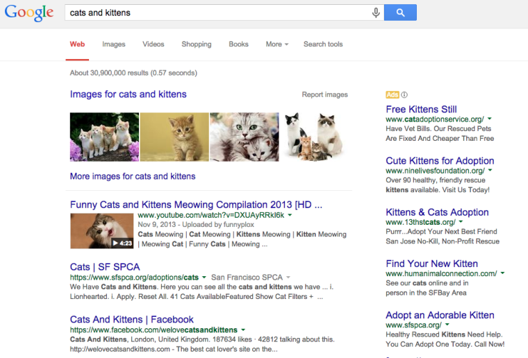Cat and kittens Google Search