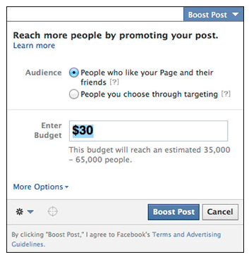 Paid Social Media Promotion with Facebook