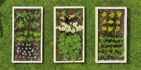 Use Science and Tech to Build the Ultimate Automated Garden
