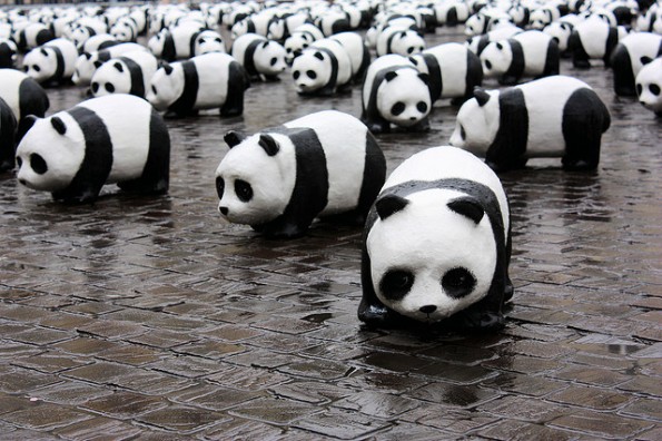 Getting Cozy on the SEO Panda Veranda image google panda 4.0 update matt cutts1