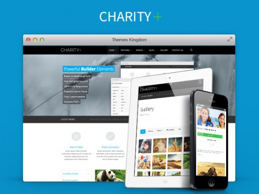 redesign CharityFront 520x390 Grab this WordPress starter kit and name your own price WordPress Theme Bundle