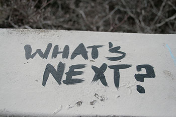 My WordPress Site Is Live! Now What? image whats next
