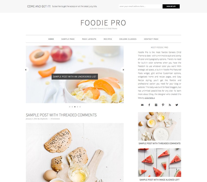 10 Most Popular WordPress Themes - Foodie Pro