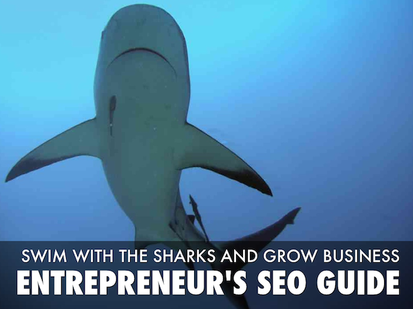 Swim With the Sharks - Entrepreneurs SEO Guide